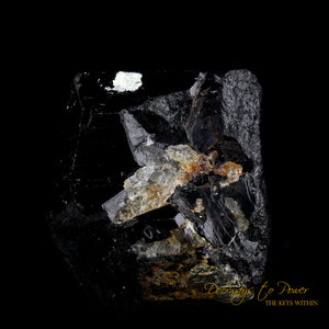 Black Tourmaline Etched Record Keeper Crystal Cannon 'Armor Grid'