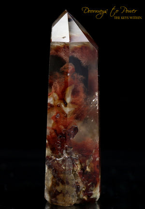 Angel Phantom Amphibole Master Initiation Channeling Quartz Crystal Point