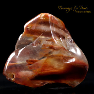 Angel Phantom Amphibole Quartz Crystal