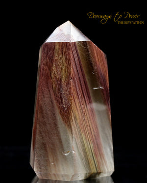 Angel Phantom Amphibole Manifestation Quartz Crystal Point