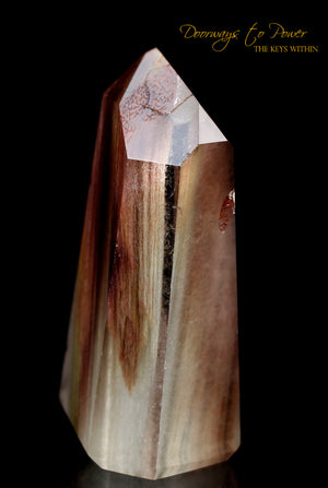 Angel Phantom Amphibole Manifestation Quartz Crystal Point