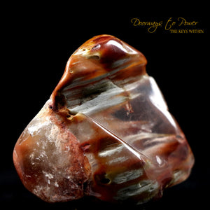 Angel Phantom Amphibole Quartz Crystal