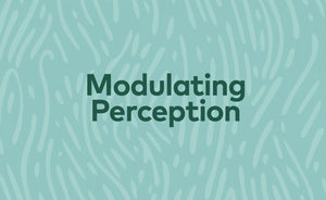 Aqua Serenity Andara Pendant 14k 'Atlantean Hologram' Ultra Rare 1995