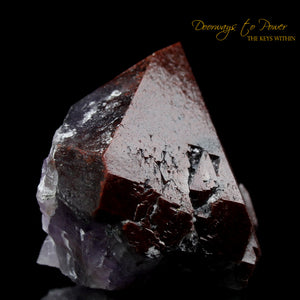 Auralite 23 Record Keeper Crystal Azozeo Activated