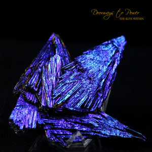 Black Kyanite Aura Angel Wing Crystal