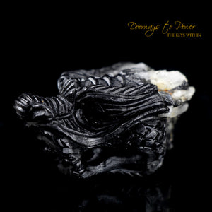 Black Tourmaline Dragon Crystal Carving "Energy Armor'