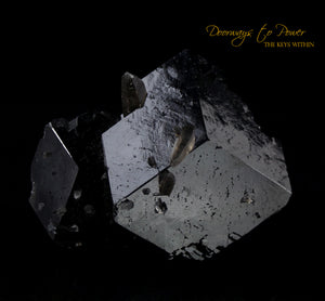 Black Tourmaline Etched Record Keeper Crystal Cannon 'Armor Grid'