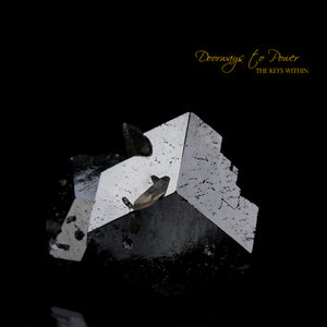 Black Tourmaline Etched Record Keeper Crystal Cannon 'Armor Grid'