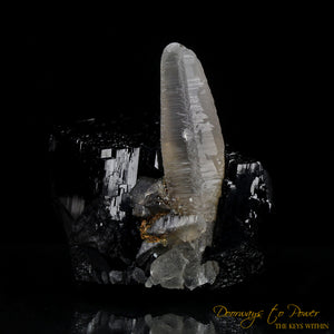 Black Tourmaline Etched Record Keeper Crystal with Smoky Quartz