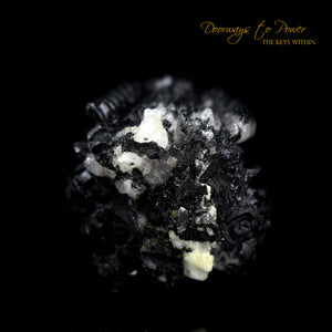 Black Tourmaline Dragon Crystal Carving "Energy Armor'