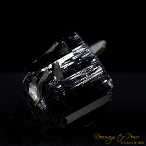 Black Tourmaline Etched Record Keeper Crystal with Smoky Quartz