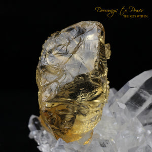 Citrine Dragon Crystal Carving