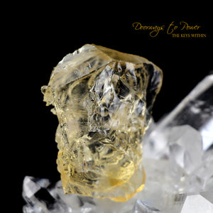 Citrine Dragon Crystal Carving