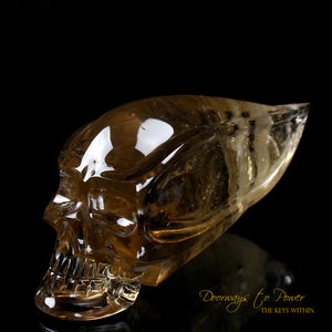 Cognac Citrine Quartz Traveler Crystal Skull by Leandro De Souza