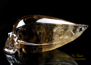Cognac Citrine Quartz Traveler Crystal Skull by Leandro De Souza