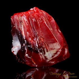 Dragons Blood King Solomon Bi Color Andara 'Magic & Alchemy'