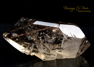 Golden Harmonics Rutilated Spirit Paths Quartz Crystal 'Bridge to Infinity'