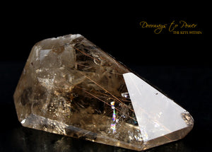 Golden Harmonics Rutilated Spirit Paths Quartz Crystal 'Bridge to Infinity'
