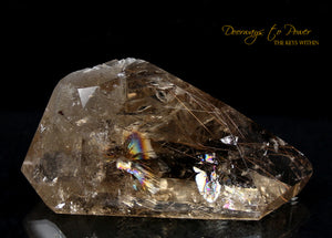 Golden Harmonics Rutilated Spirit Paths Quartz Crystal 'Bridge to Infinity'