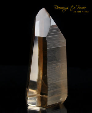 Golden Lemurian Temple Heart Dow Record Keeper Crystal