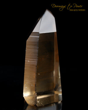 Golden Lemurian Temple Heart Dow Record Keeper Crystal