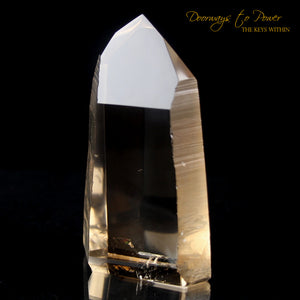 Golden Lemurian Temple Heart Dow Record Keeper Crystal