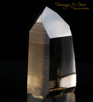 Golden Lemurian Temple Heart Dow Record Keeper Crystal
