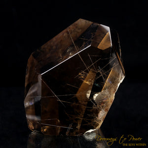 Golden Harmonics Rutilated Spirit Paths Quartz Crystal 'Bridge to Infinity'