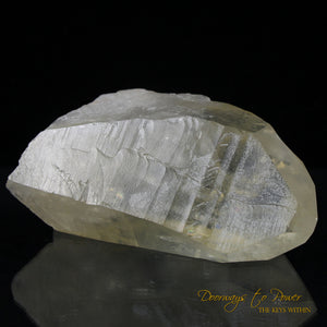Golden Healer Lemurian Seed Quartz Record Keeper Crystal