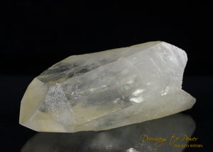 Golden Healer Lemurian Seed Quartz Record Keeper Crystal