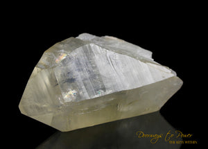 Golden Healer Lemurian Seed Quartz Record Keeper Crystal