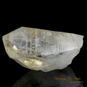 Golden Healer Lemurian Seed Quartz Record Keeper Crystal