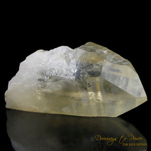 Golden Healer Lemurian Seed Quartz Record Keeper Crystal