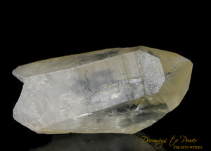 Golden Healer Lemurian Seed Quartz Record Keeper Crystal