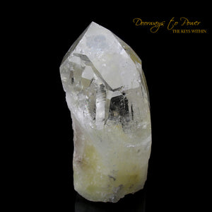 Golden Healer Quartz Lightbrary Crystal