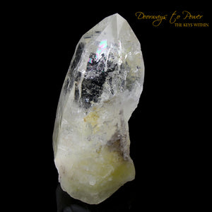 Golden Healer Quartz Lightbrary Crystal