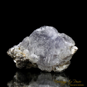Herderite Synergy 12 Stone Crystal Specimen