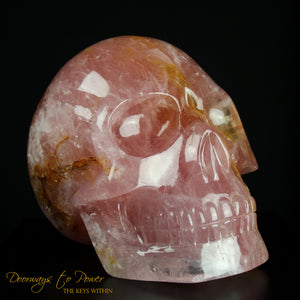 XL Rose Quartz Golden Healer Crystal Skull by Leandro De Souza