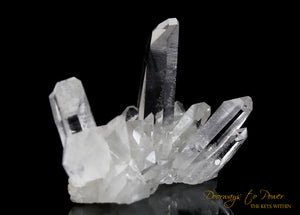 Lemurian Light Quartz Crystal Cluster