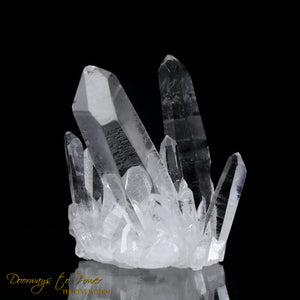 Lemurian Points of Light Record Keeper Quartz Crystal Cluster