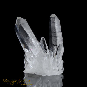 Lemurian Points of Light Record Keeper Quartz Crystal Cluster