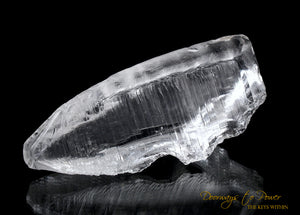 Lemurian Light Quartz Record Keeper Crystal 9D 'Omnipresent Elder'