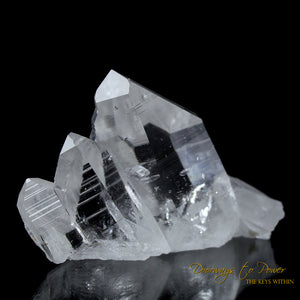 Lemurian Light Twin Record Keeper Crystal 'ERA of LIGHT'