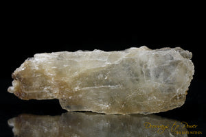 Petalite Crystal & Synergy 12 Stone