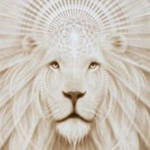 Lion's Heart Monatomic Andara Crystal Pendant 14k