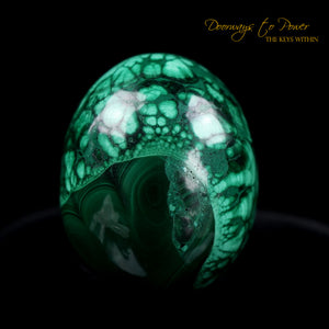 Malachite Crystal Egg
