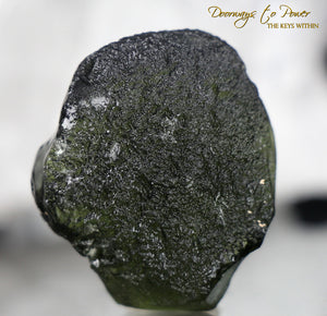 Moldavite Hand Carved Crystal Skull 'Aurixia'