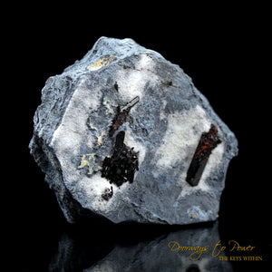 Neptunite with Benitoite on Natrolite Crystal