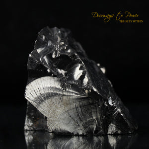 Nobel Shungite Crystal Altar Stone