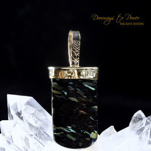 Nuummite Light Language Crystal Pendant ™ 22k Gold